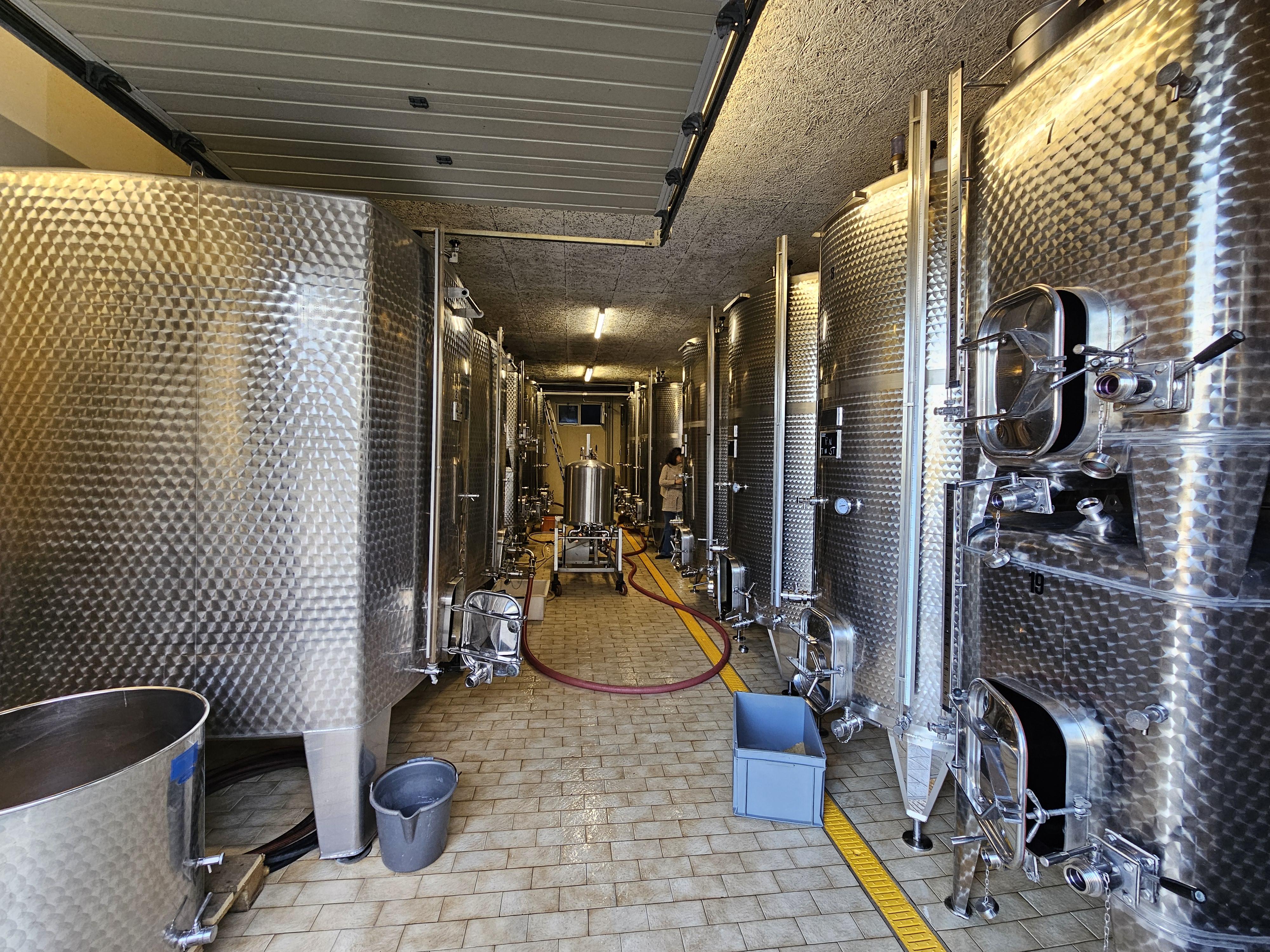 Domaine vitivinicole La Côte - Image# 8